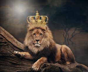 king-Lion-with-crown-sovereign-self-3832148_1280-Image-by-Thomas-Wolter-from-Pixabay.jpg